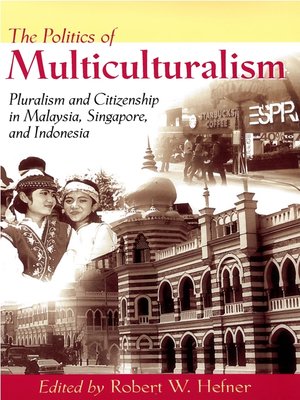 cover image of The Politics of Multiculturalism